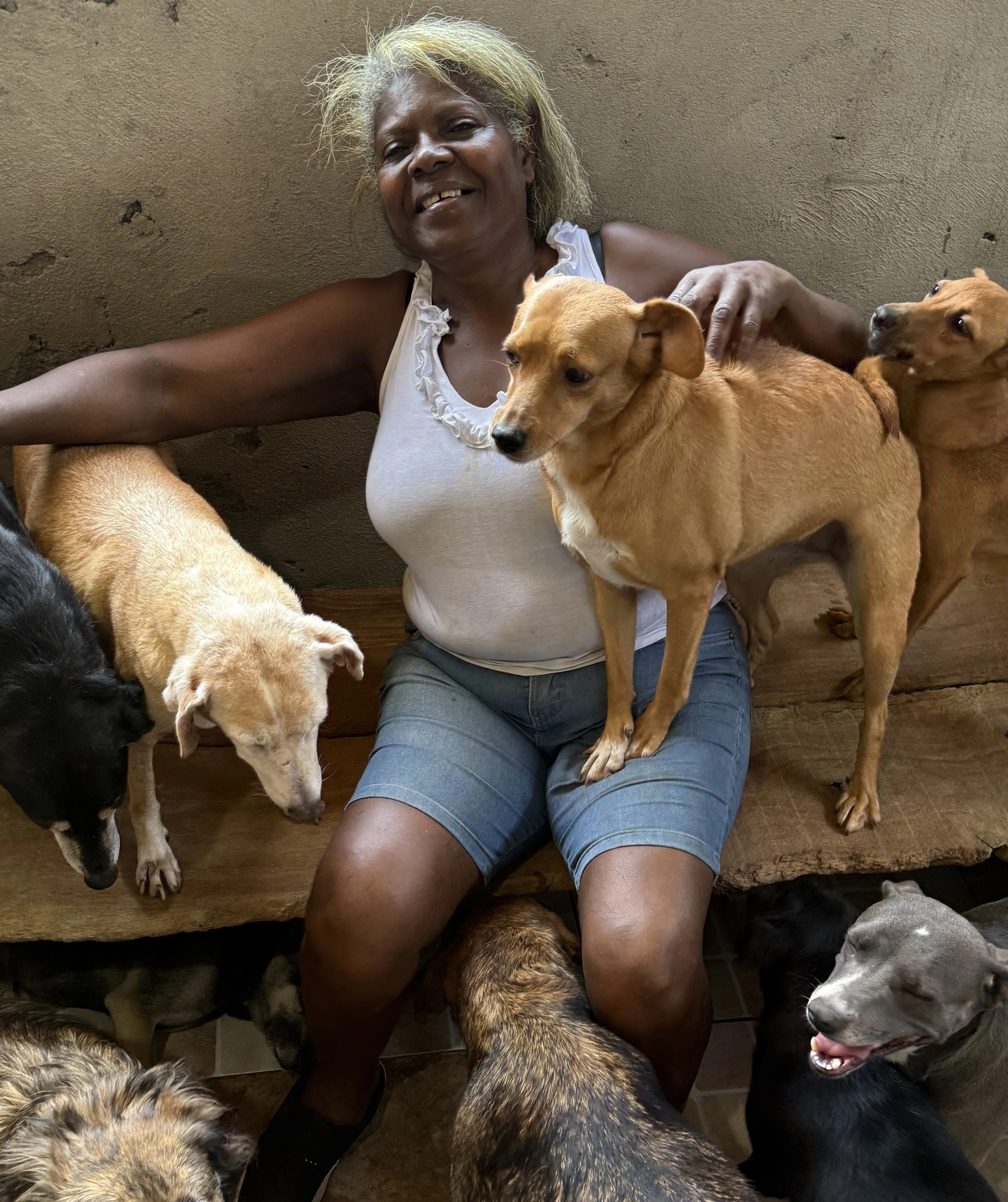 Cuidadora cercada pelos cães do abrigo